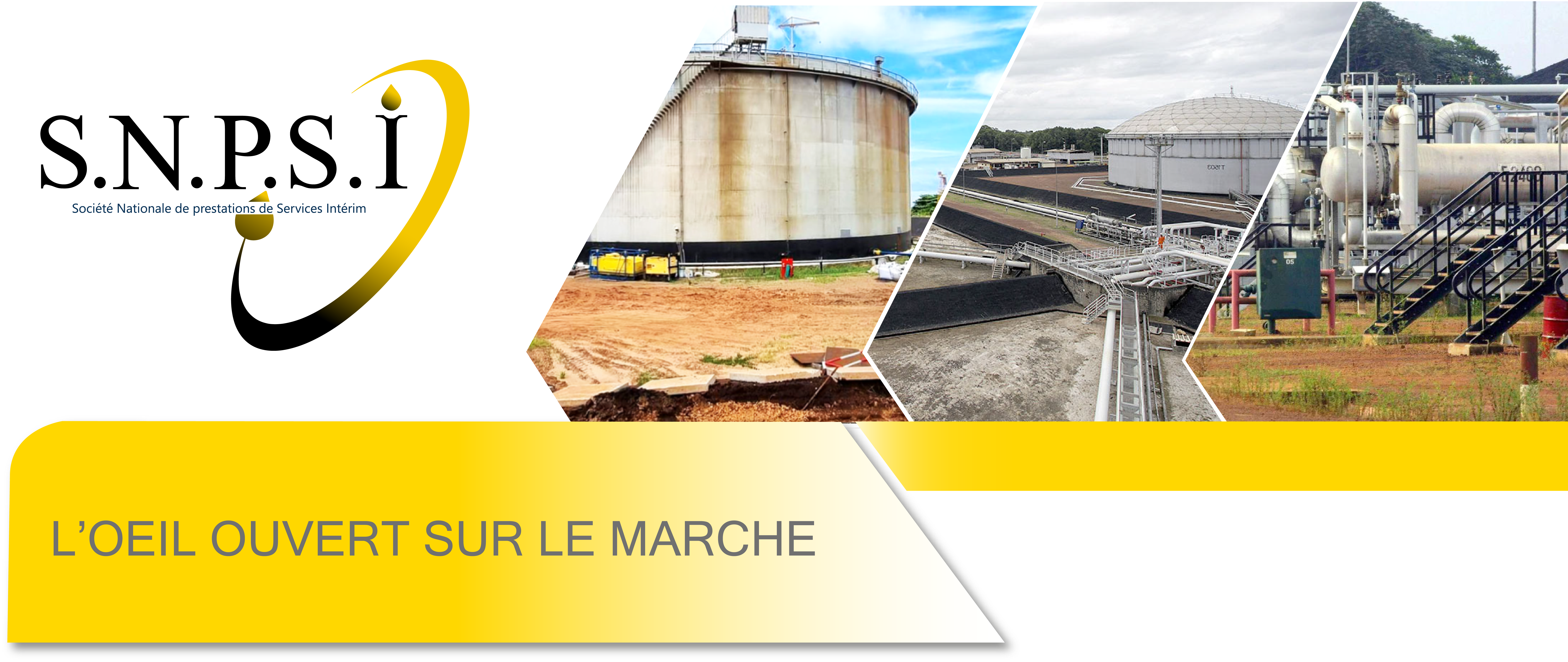 SNPSI : l'œil ouvert sur le marché